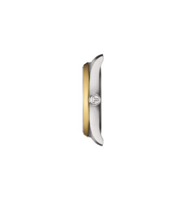 ساعت مچی تیسوت Tissot زنانه تک موتوره دورنگ مدل T150.210.21.031.00