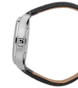 ساعت فیلیپ واچ Philip Watch مردانه مدل R8251165048