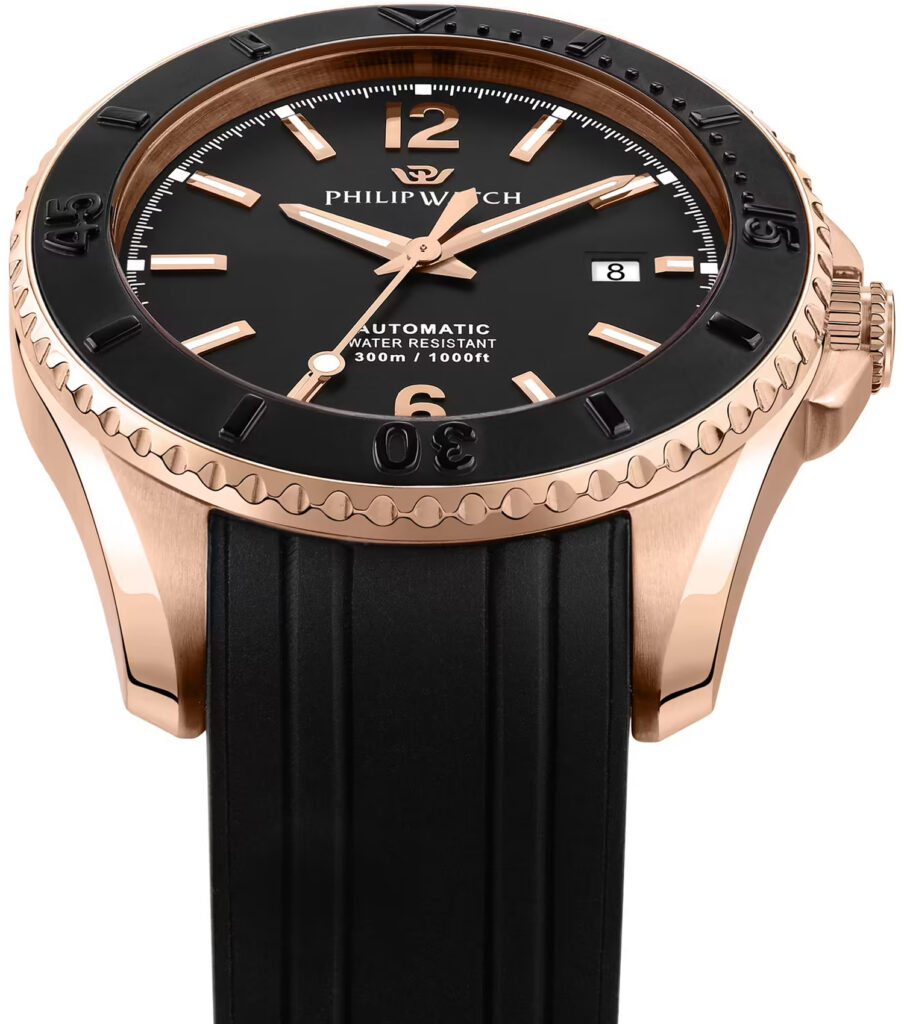 ساعت فیلیپ واچ Philip Watch مردانه مدل R8221218002