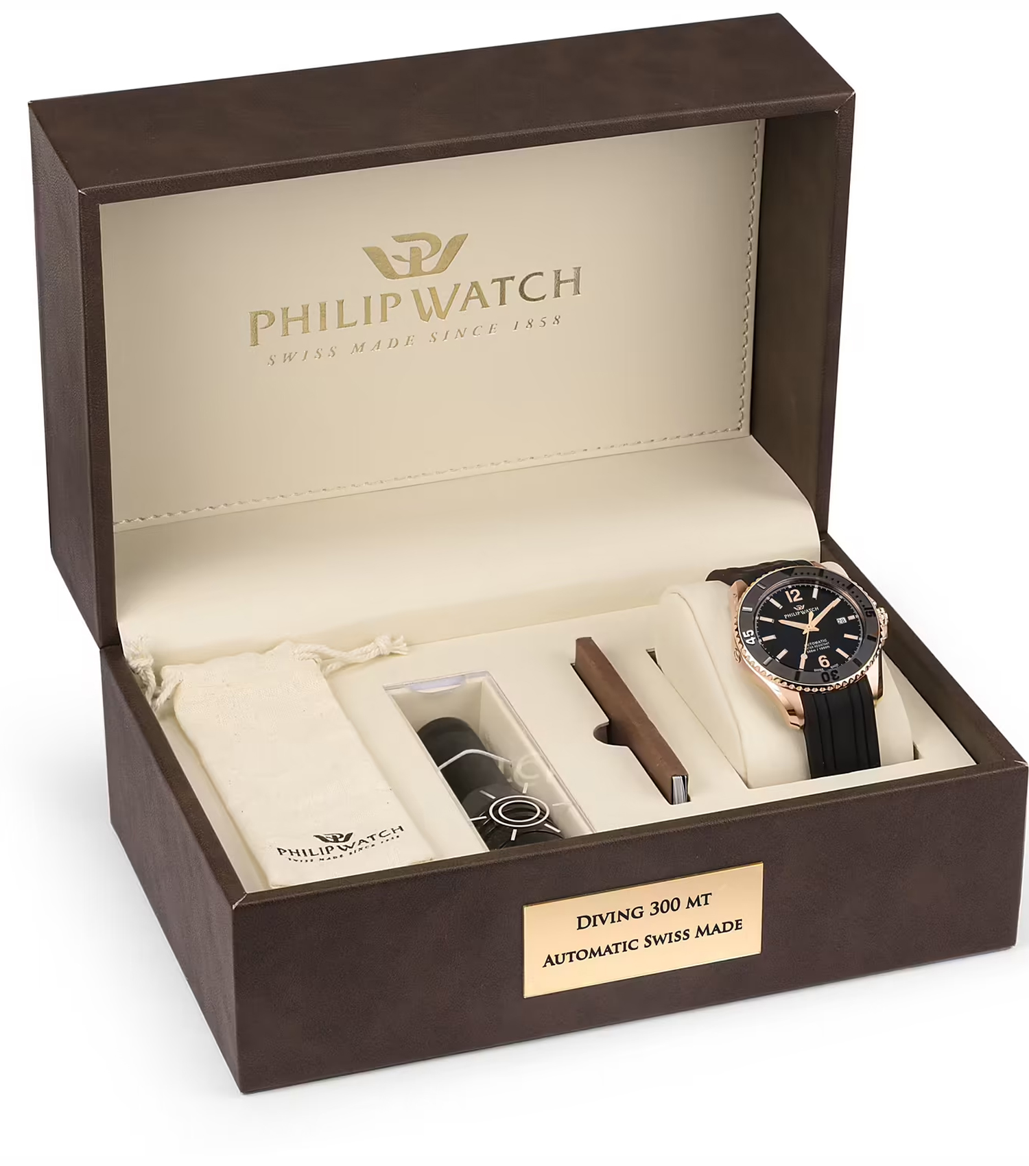 ساعت فیلیپ واچ Philip Watch مردانه مدل R8221218002