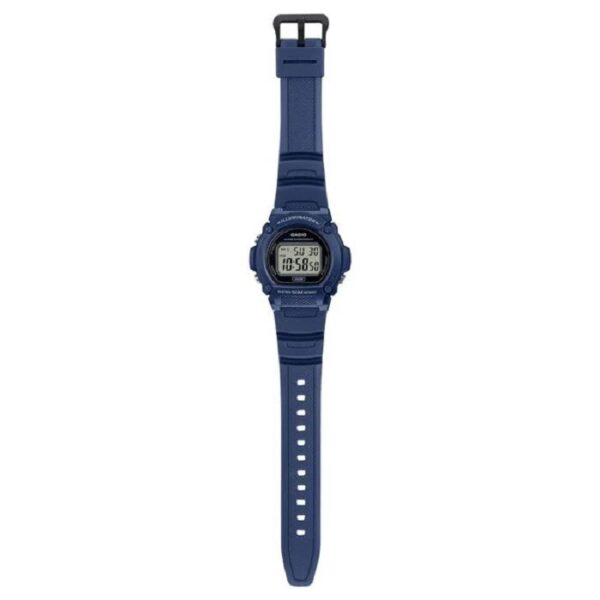 ساعت کاسیو Casio مردانه مدل W-219H-2AVDF