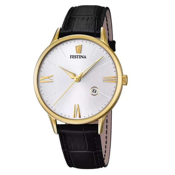 ساعت فستینا FESTINA مردانه مدل F16825/1
